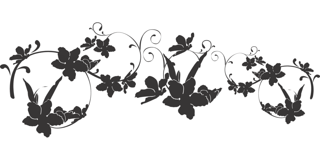 Website Design Agency Langebaan West Coast, Privacy Policy, Remote Services, Search Engine Optimization Agency